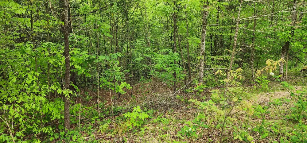 0 Jefferson Rd Smithville, TN 37166