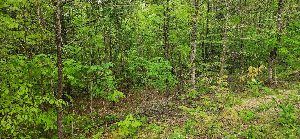 0 Jefferson Rd Smithville, TN 37166