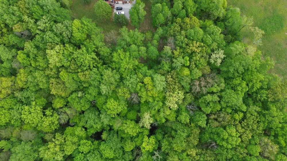 0 Jefferson Rd Smithville, TN 37166