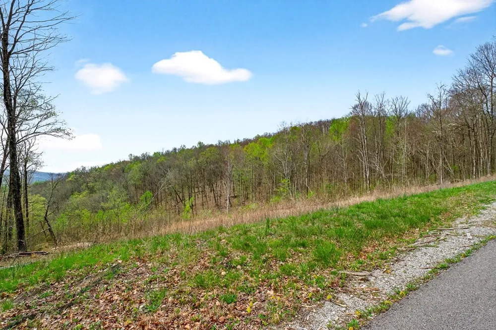 0 White Oak Flatt Road Sparta, TN 38583