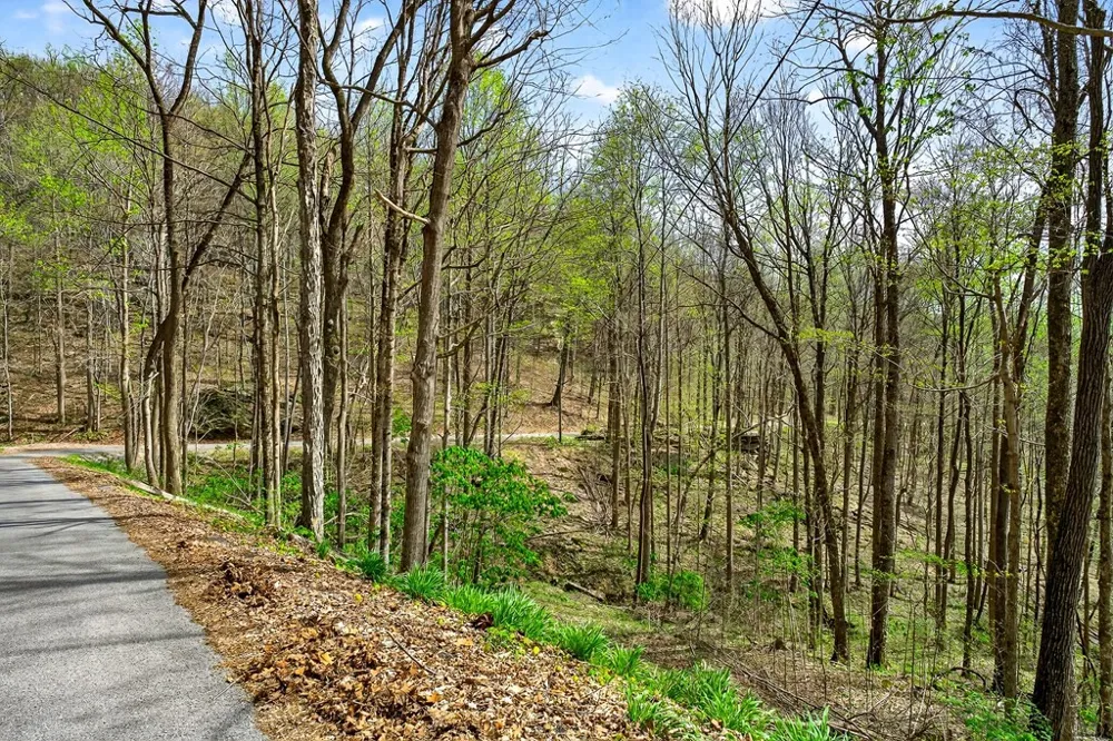 0 White Oak Flatt Road Sparta, TN 38583