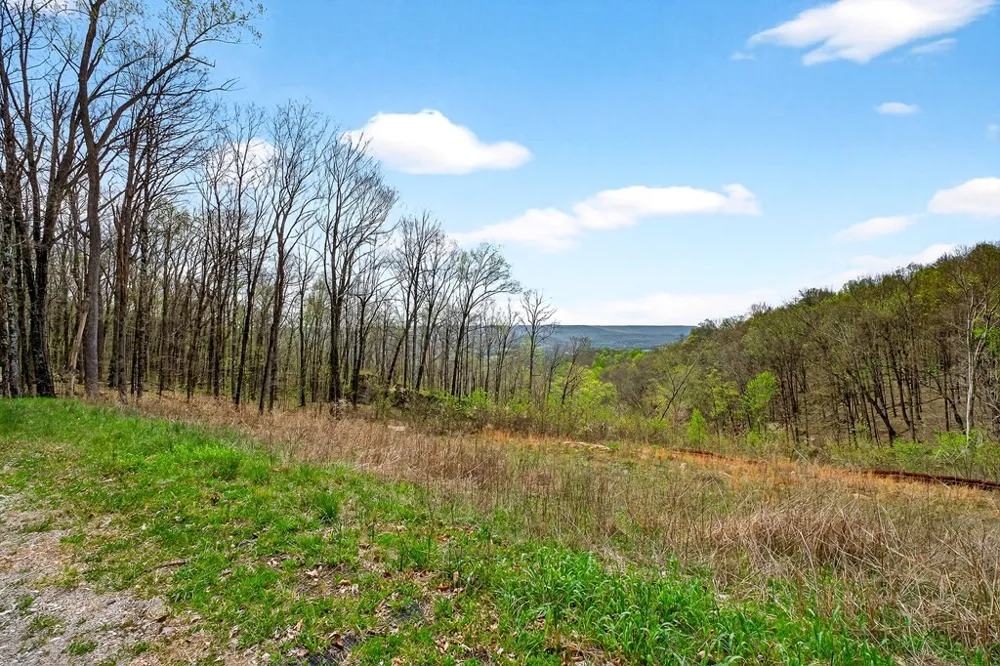 0 White Oak Flatt Road Sparta, TN 38583