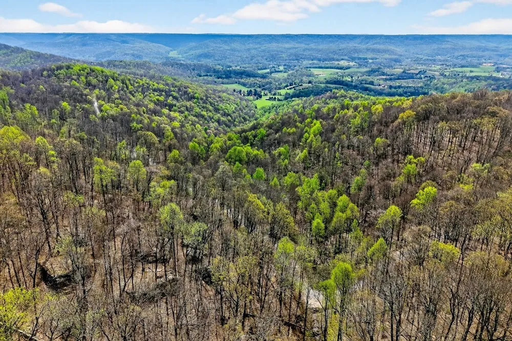 0 White Oak Flatt Road Sparta, TN 38583