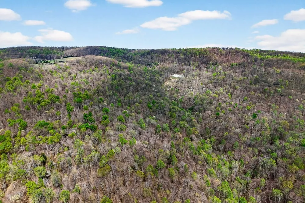 0 White Oak Flatt Road Sparta, TN 38583