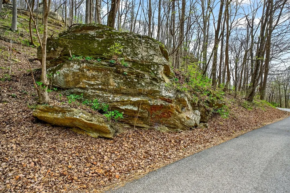 0 White Oak Flatt Road Sparta, TN 38583