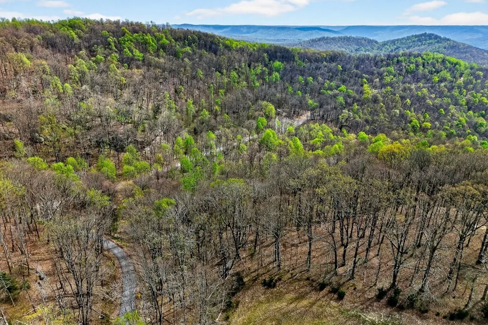 0 White Oak Flatt Road Sparta, TN 38583