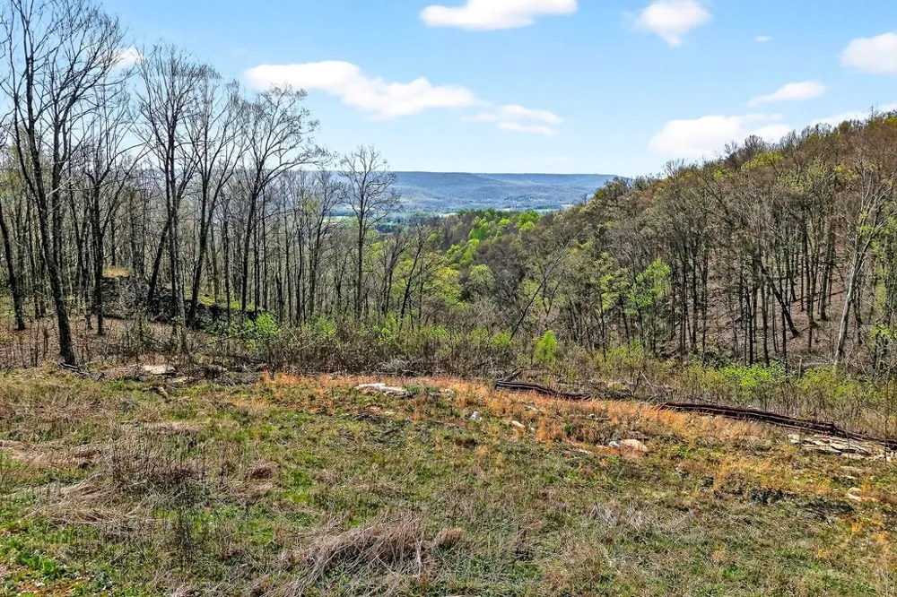 0 White Oak Flatt Road Sparta, TN 38583