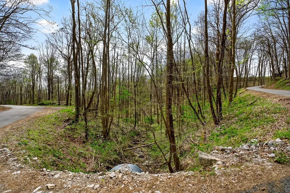 0 White Oak Flatt Road Sparta, TN 38583