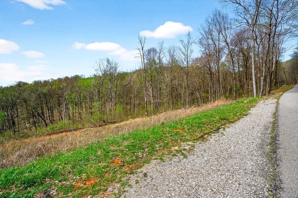0 White Oak Flatt Road Sparta, TN 38583