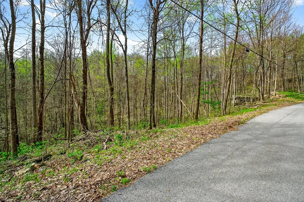 0 White Oak Flatt Road Sparta, TN 38583