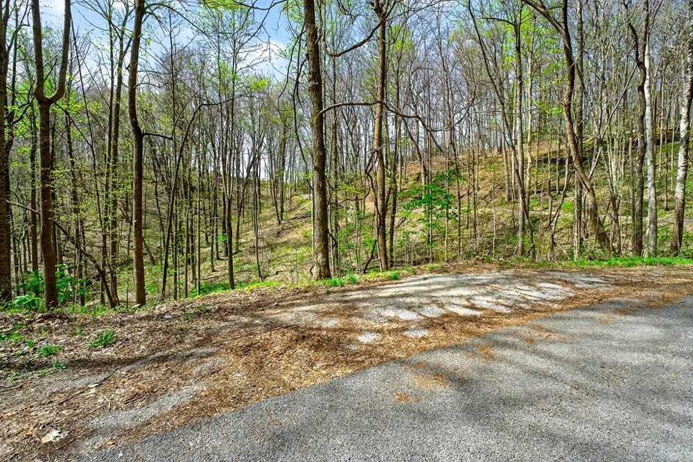 0 White Oak Flatt Road Sparta, TN 38583
