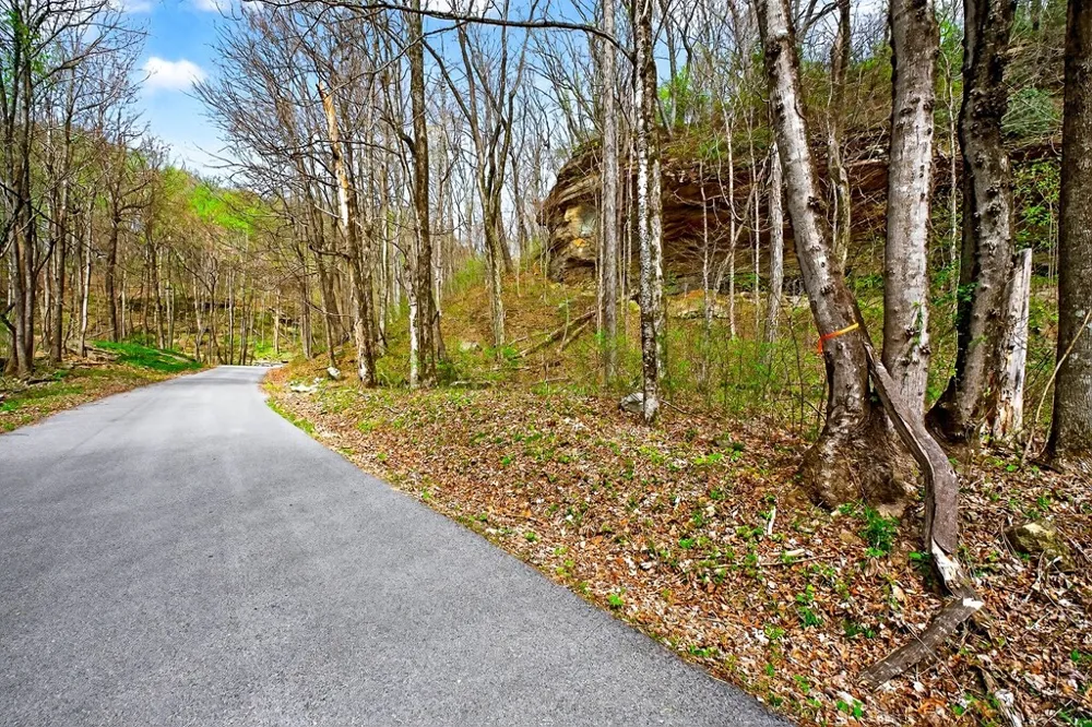 0 White Oak Flatt Road Sparta, TN 38583