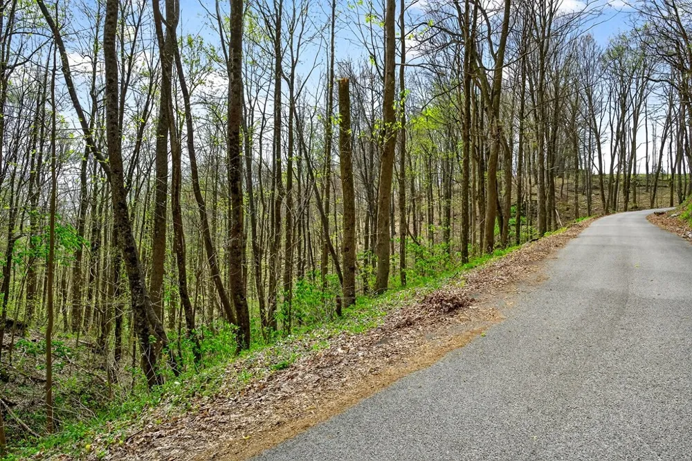 0 White Oak Flatt Road Sparta, TN 38583