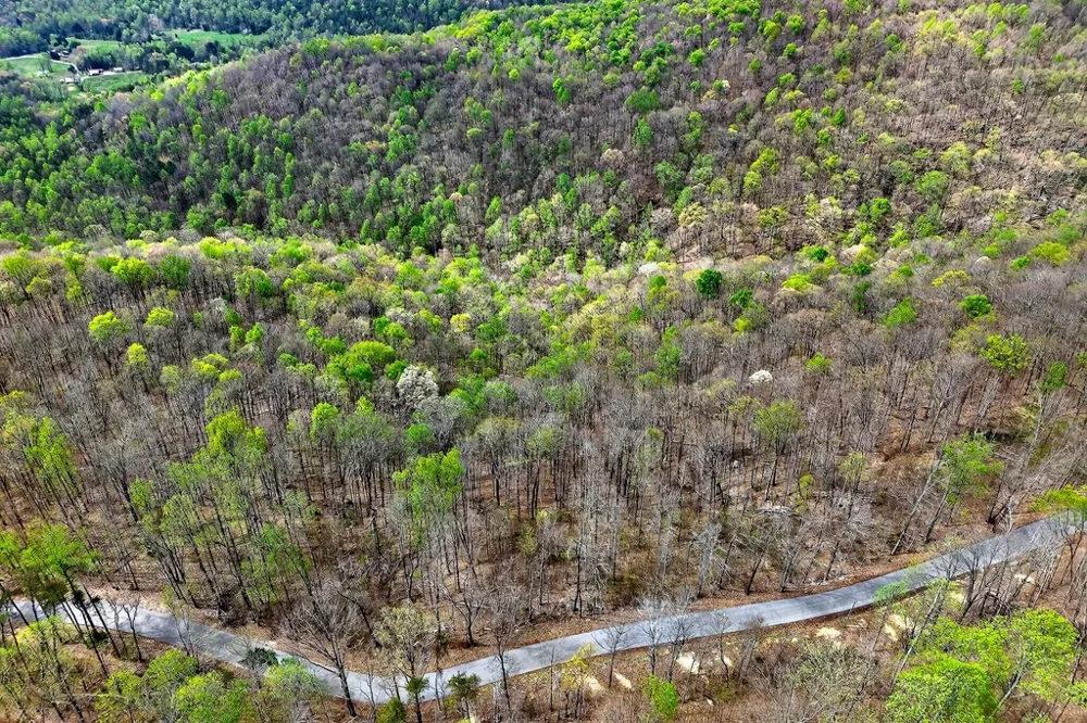 0 White Oak Flatt Road Sparta, TN 38583