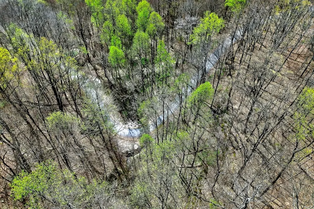 0 White Oak Flatt Road Sparta, TN 38583