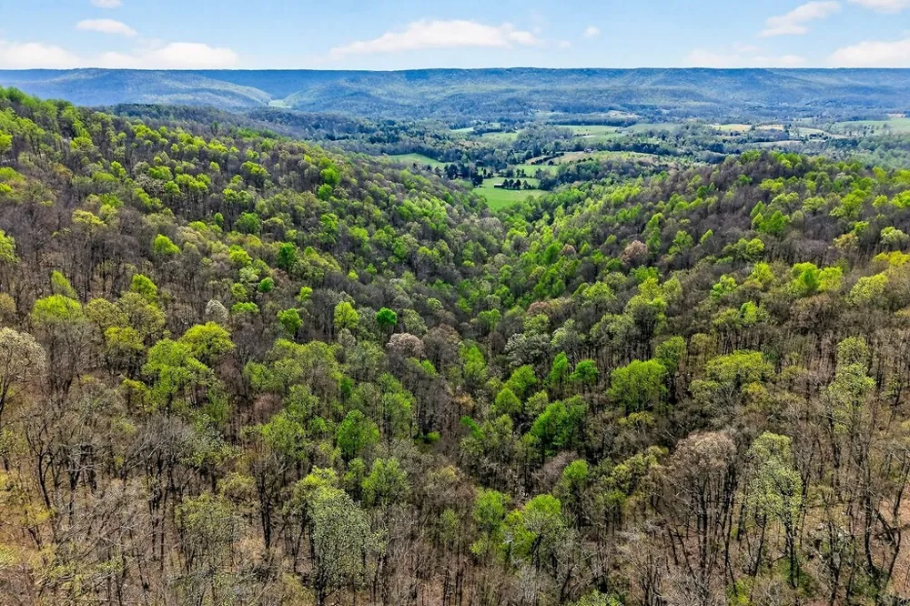 0 White Oak Flatt Road Sparta, TN 38583