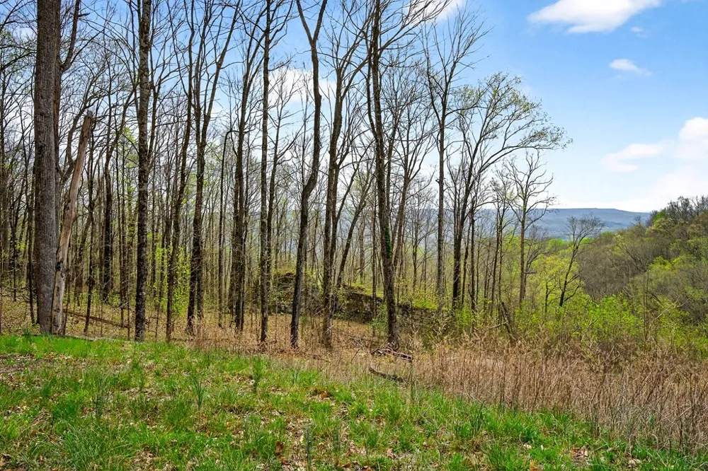 0 White Oak Flatt Road Sparta, TN 38583