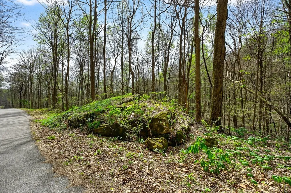 0 White Oak Flatt Road Sparta, TN 38583