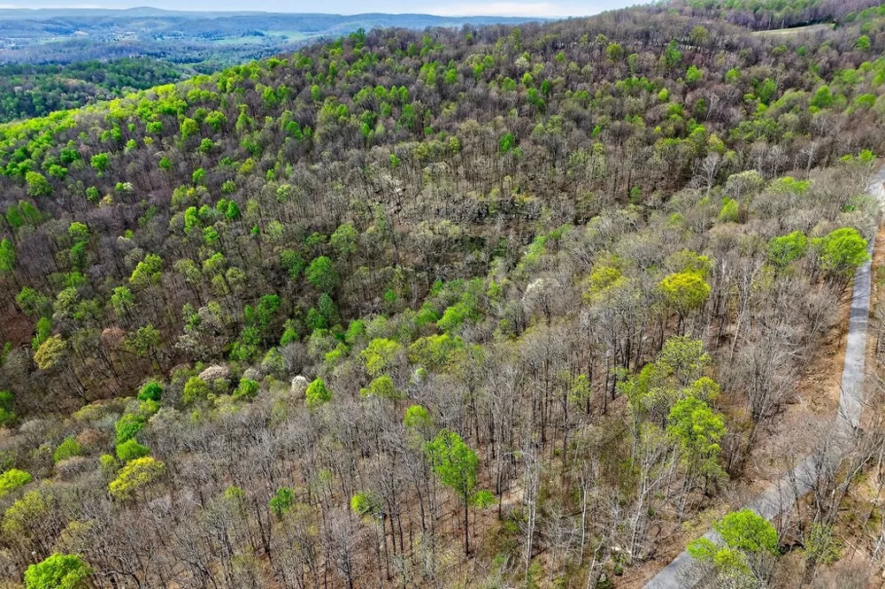 0 White Oak Flatt Road Sparta, TN 38583
