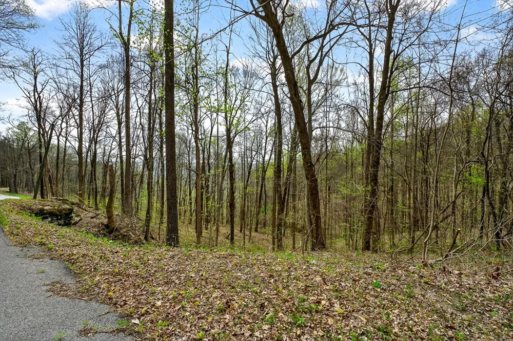 0 White Oak Flatt Road Sparta, TN 38583