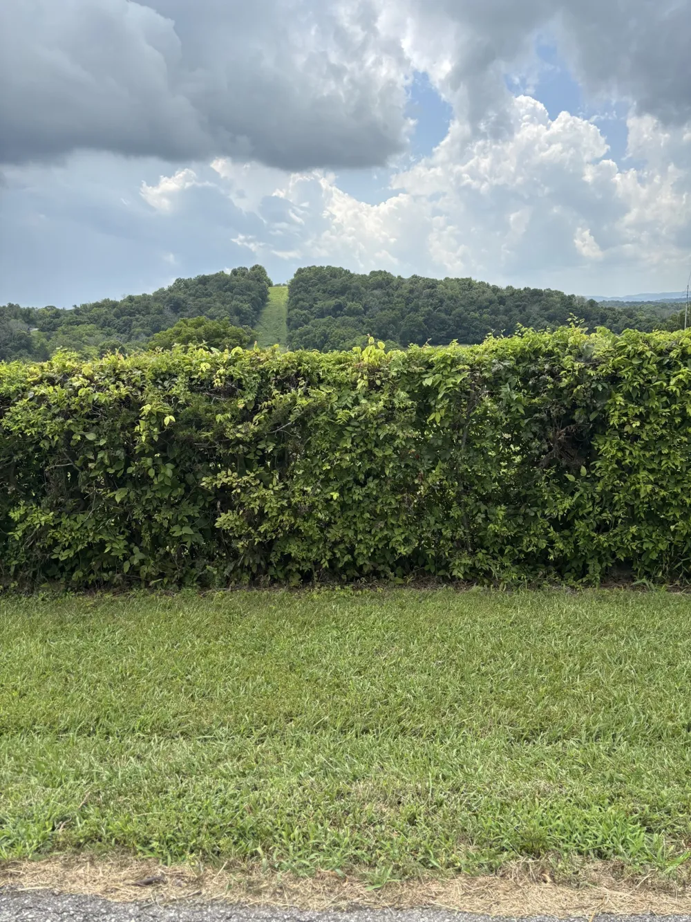 0 Nolensville Nolensville, TN 37135