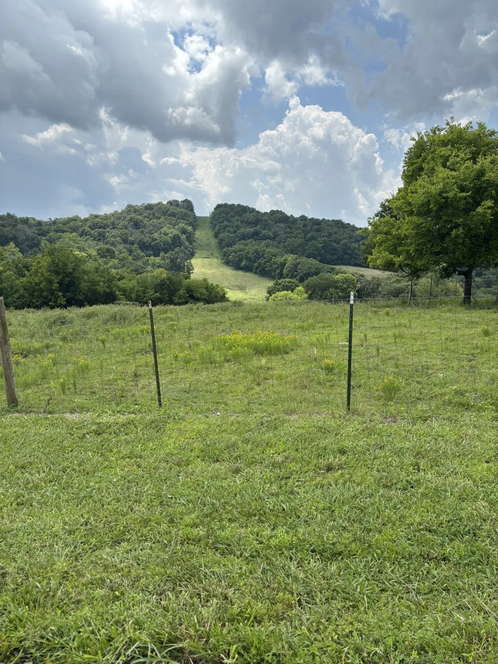 0 Nolensville Nolensville, TN 37135