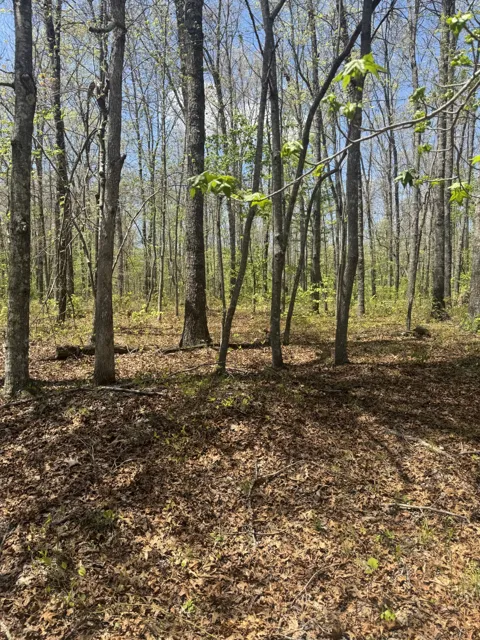 0 Doe Creek Lake Dr