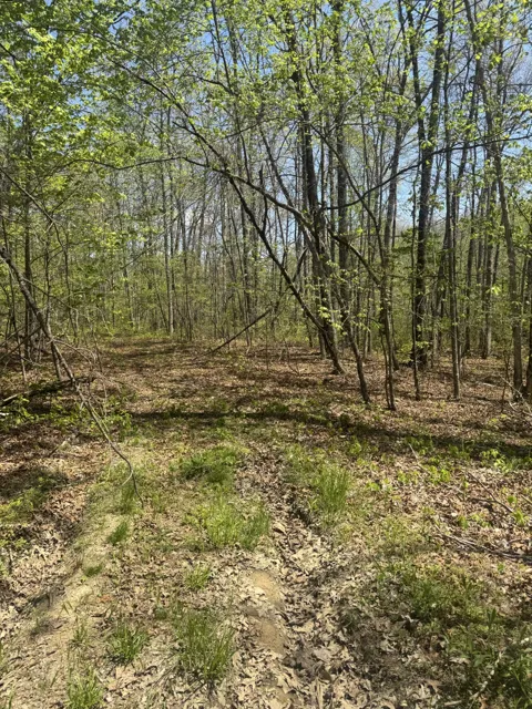 0 Doe Creek Lake Dr