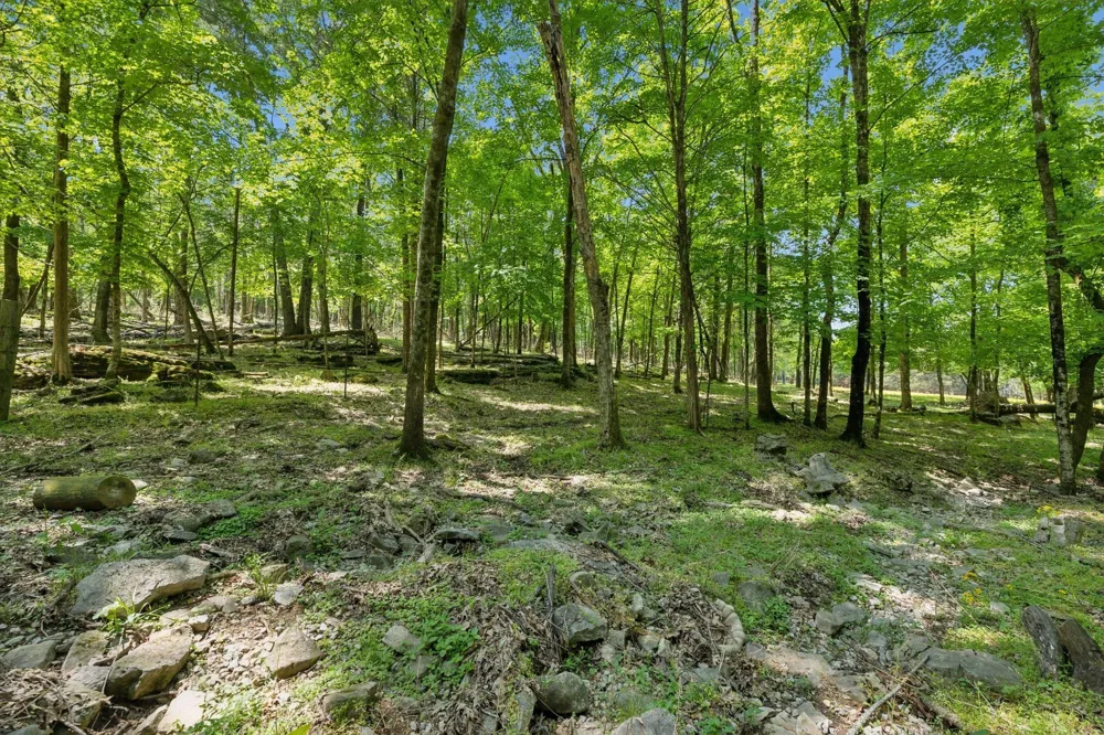 1494 Grant Rd Watertown, TN 37184