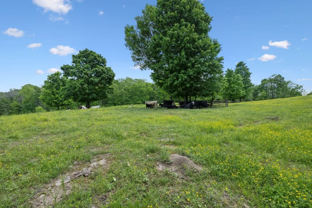 1494 Grant Rd Watertown, TN 37184
