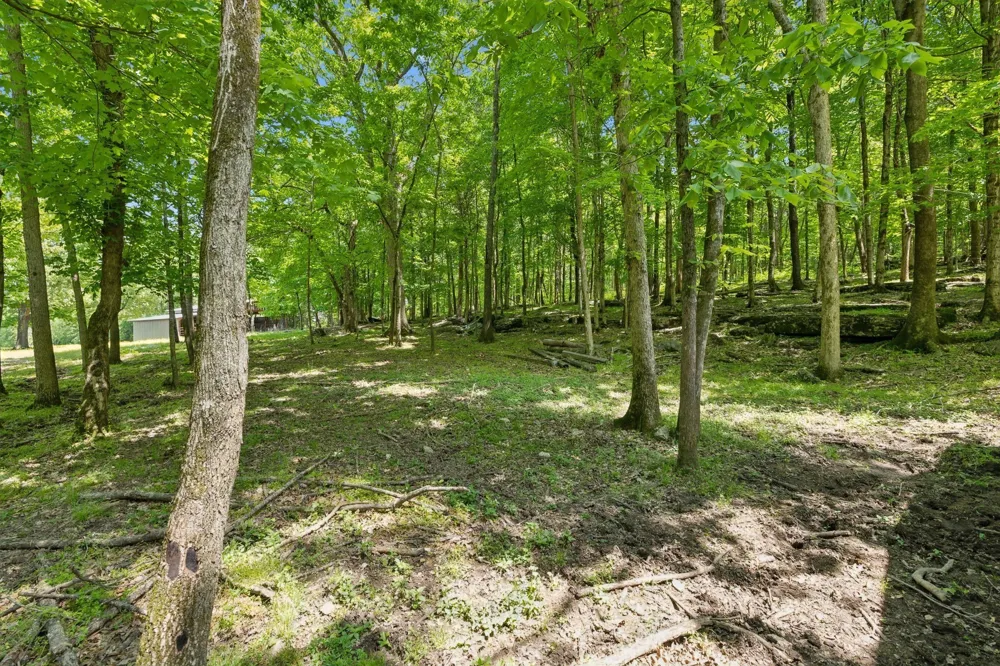 1494 Grant Rd Watertown, TN 37184