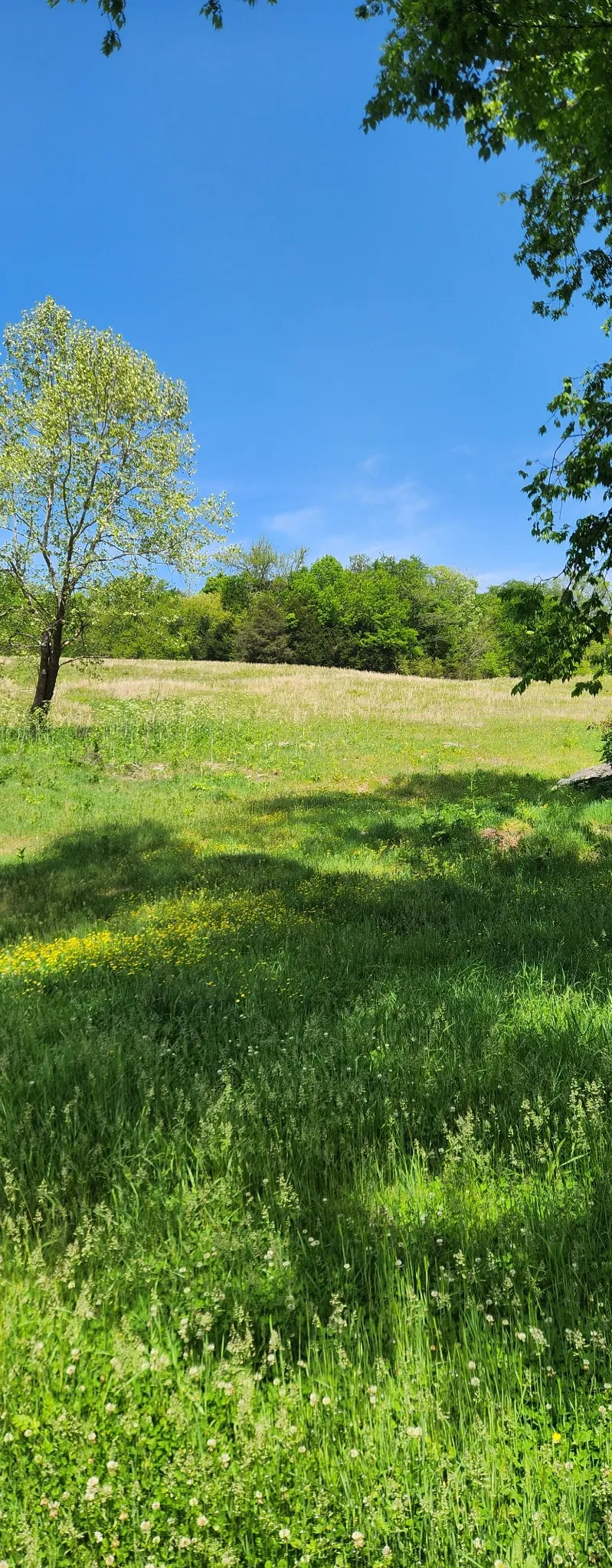 0 Lower Helton Rd Liberty, TN 37095