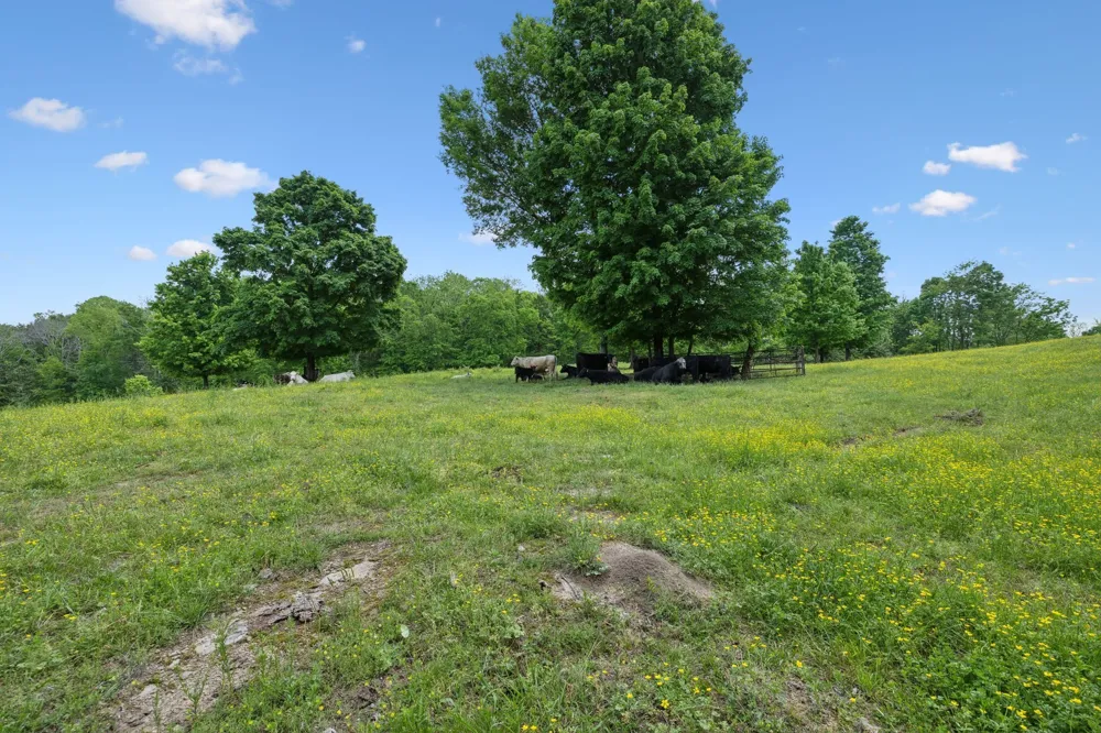 1494 Grant Rd Watertown, TN 37184