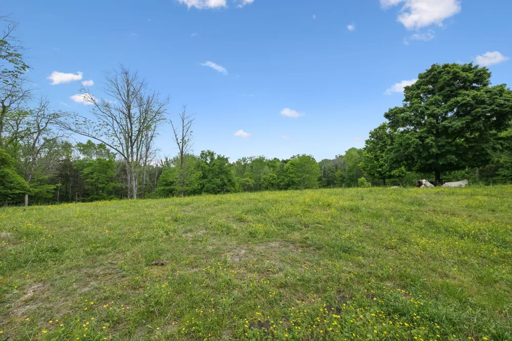 1494 Grant Rd Watertown, TN 37184