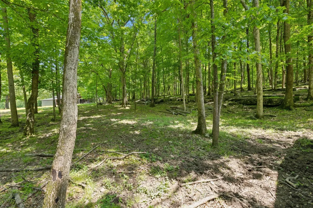1494 Grant Rd Watertown, TN 37184