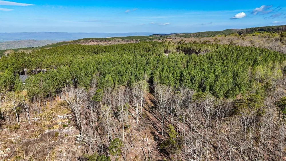1350 Split Rail Way Guild, TN 37340