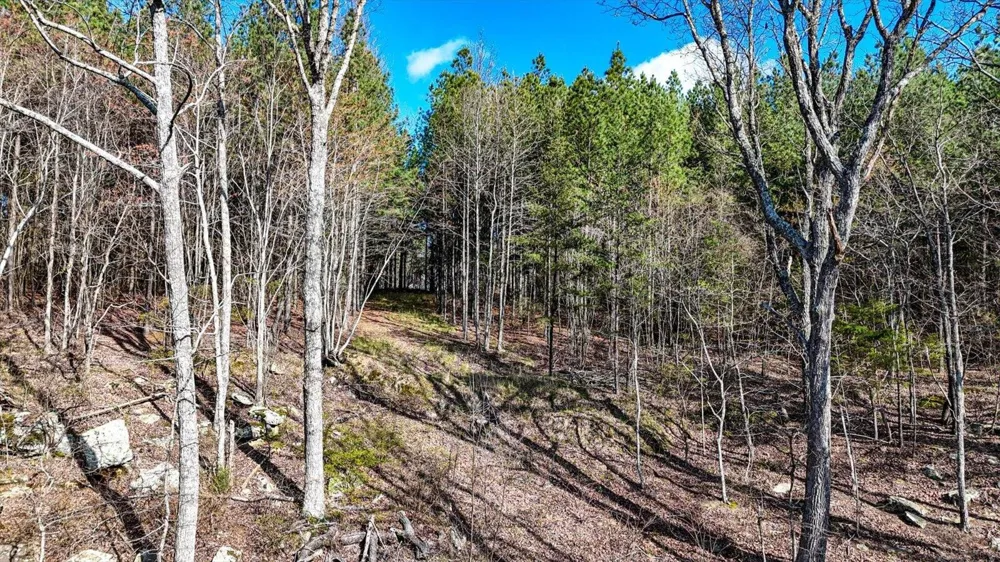 1350 Split Rail Way Guild, TN 37340