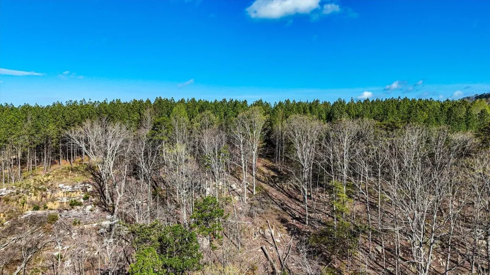 1350 Split Rail Way Guild, TN 37340