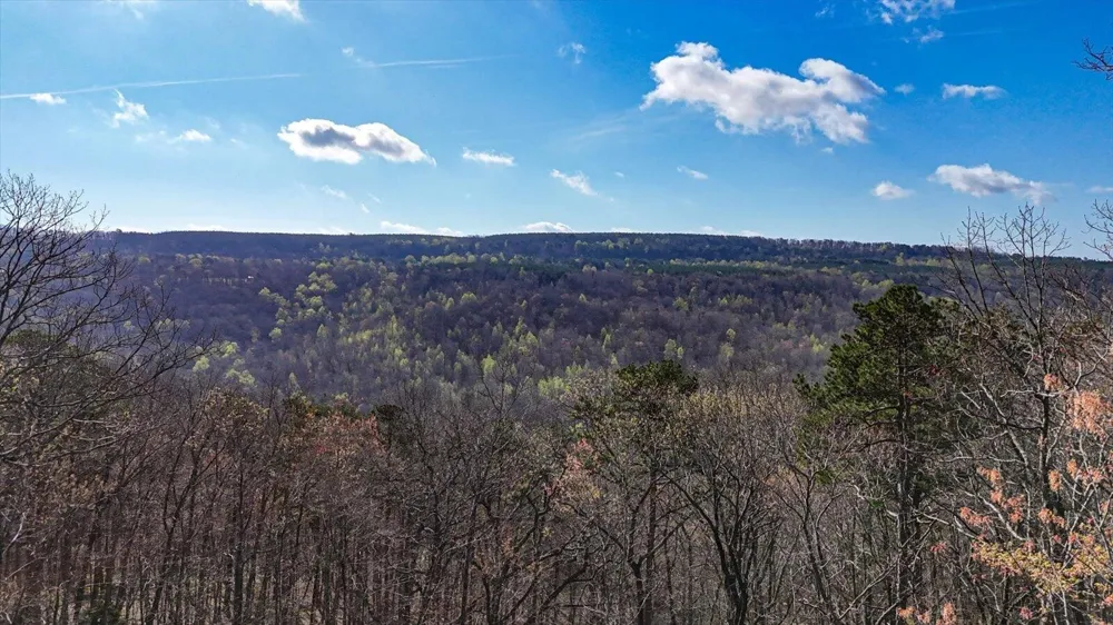 1350 Split Rail Way Guild, TN 37340