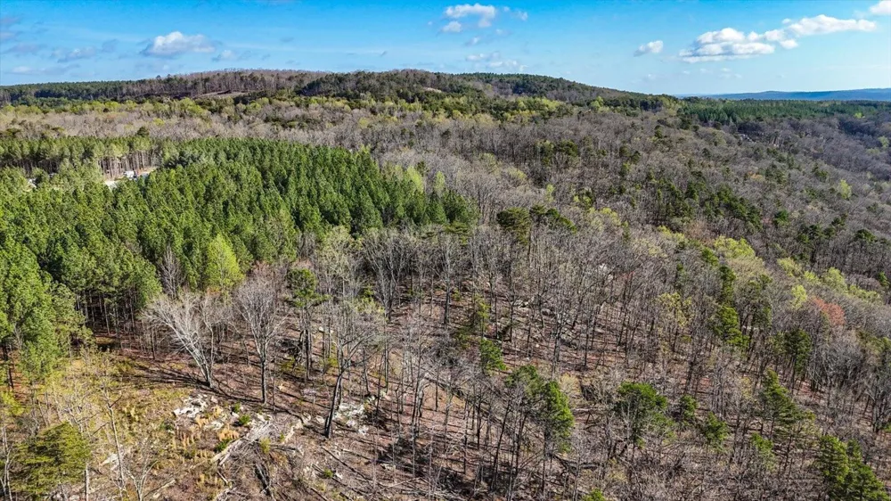 1350 Split Rail Way Guild, TN 37340