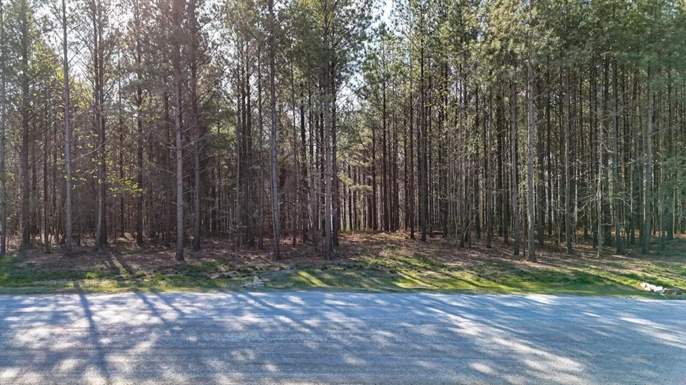 1350 Split Rail Way Guild, TN 37340