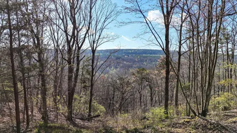 1350 Split Rail Way