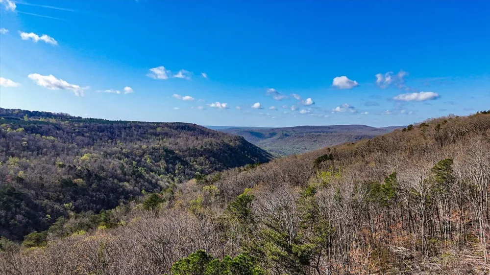 1350 Split Rail Way Guild, TN 37340