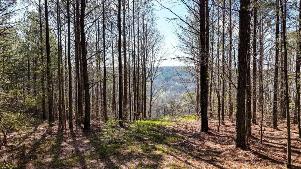 1350 Split Rail Way Guild, TN 37340