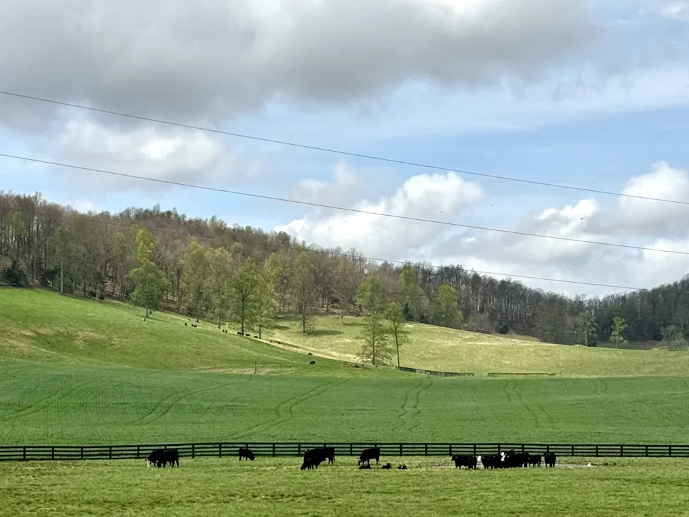 1366 Hidden Valley Rd Livingston, TN 38570
