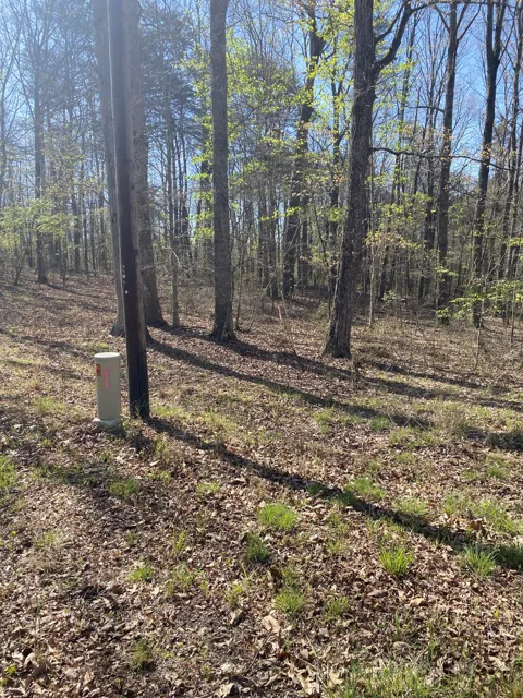 490 Haynes Rd
