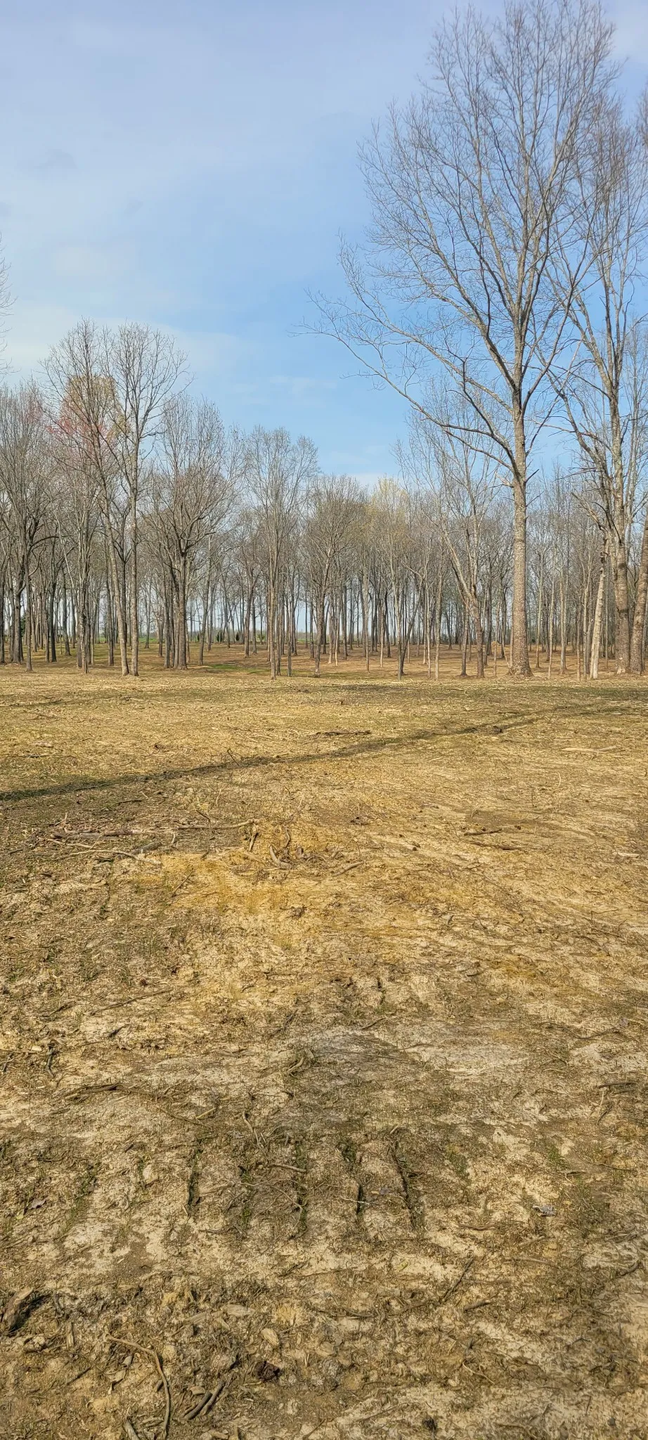 6 Goforth Rd Morrison, TN 37357