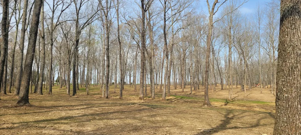 6 Goforth Rd Morrison, TN 37357