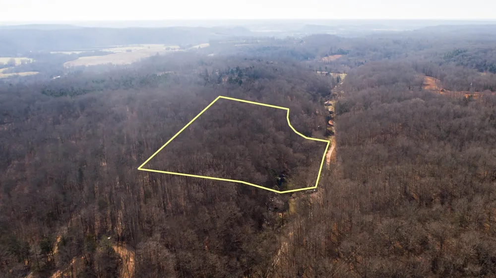 0 Opossum Hollow Rd Primm Springs, TN 38476