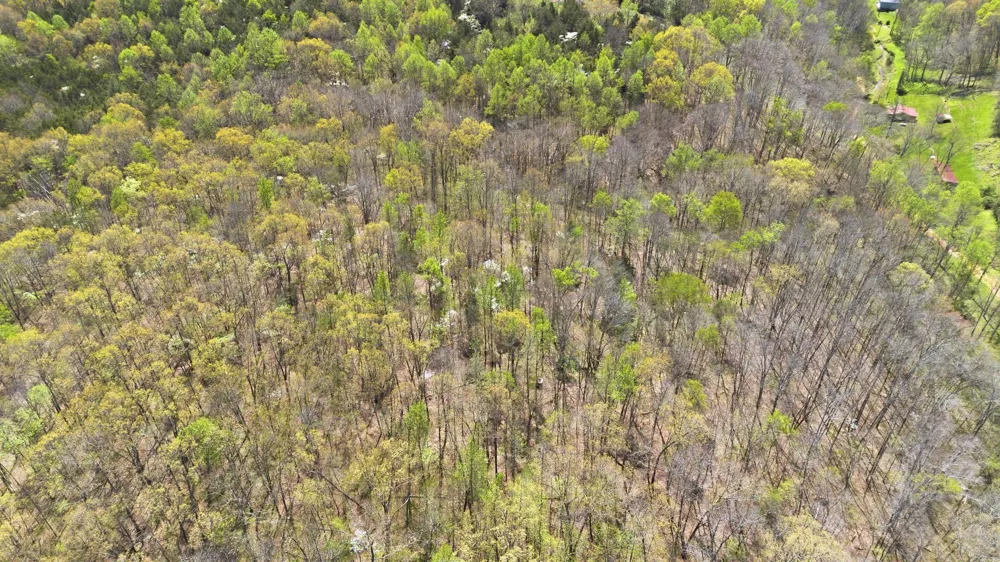 0 Opossum Hollow Rd Primm Springs, TN 38476